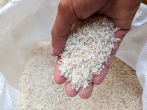 عرضه برنج صدری هاشمی اعلا با کیفیت و ممتاز